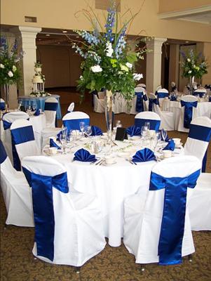 My wedding colors are royal blue/silver with baby blue/white.